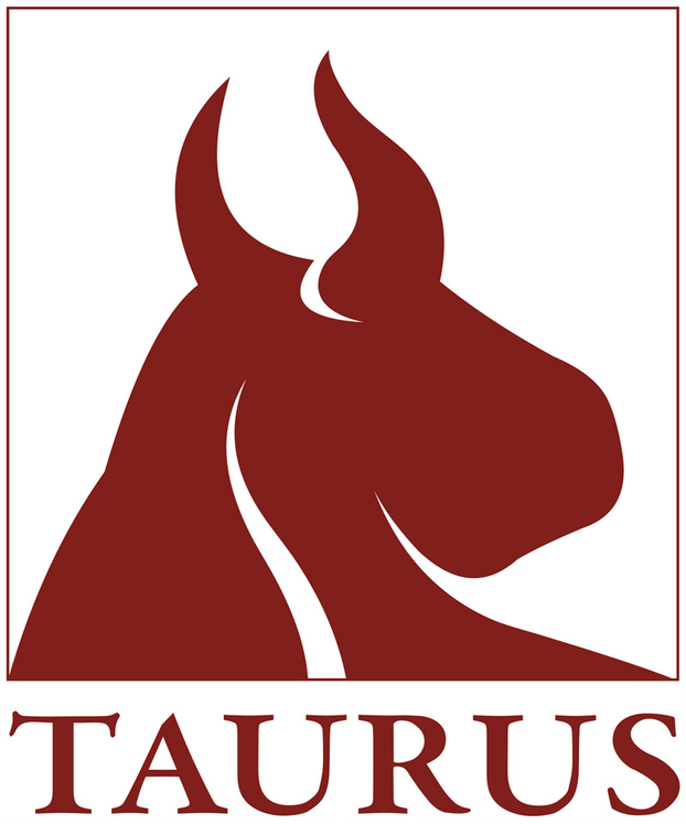 Westfork Boulevard - Lithia Springs, Georgia 5